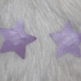 STAR Nipple Pasties Purple